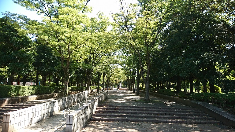 蕨市民公園